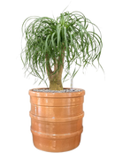 Pot bana cylinder orange