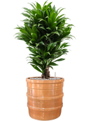 Pot bana cylinder orange