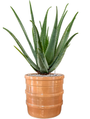 Pot bana cylinder orange