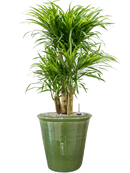 Pot hush couple verte