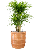 Pot bana cylinder orange