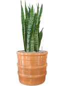 Pot bana cylinder orange