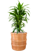 Pot bana cylinder orange