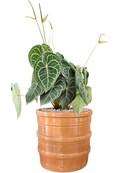 Pot bana cylinder orange