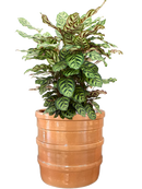 Pot bana cylinder orange