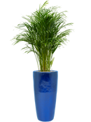 Pot plain partner bleue