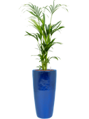 Pot plain partner bleue