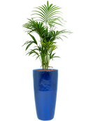 Pot plain partner bleue