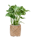 Pot bohemian cylinder marron