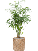 Pot bohemian cylinder marron