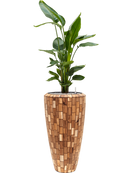 Pot facets partner marron