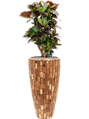 Pot facets partner marron