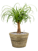 Pot paniers  couple grise