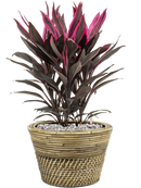 Pot paniers  couple grise