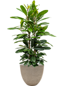 Pot rough couple grise