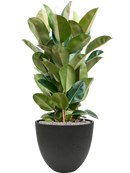 Pot rough couple noire