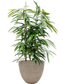 Pot rough couple grise