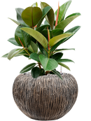 Pot luxe lite globe bronze