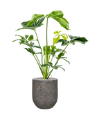 Pot naturescast® couple grise