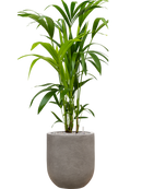 Pot nucast® couple grise