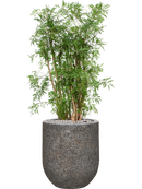 Pot naturescast® couple grise