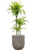 Pot nucast® couple grise