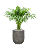 Pot naturescast® couple grise