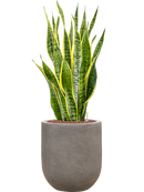 Pot nucast® couple grise