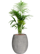 Pot polystone coated emperor grise