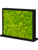 Tableau MDF Ral 9005 Brillant satiné Double-côté 100% Lichen (Vert Printemps)