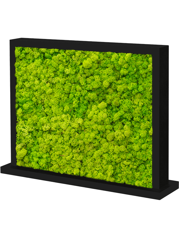 Tableau MDF Ral 9005 Brillant satiné Double-côté 100% Lichen (Vert Printemps)