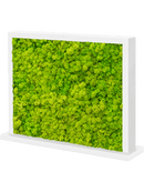 Tableau MDF Ral 9010 Brillant satiné Double-côté 100% Lichen (Vert Printemps)