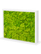 Tableau MDF Ral 9010 Brillant satiné Double-côté 100% Lichen (Vert Printemps)