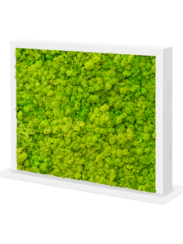 Tableau MDF Ral 9010 Brillant satiné Double-côté 100% Lichen (Vert Printemps)