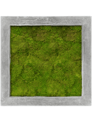 Tableau Polystone Raw Grey 100% Mousse Plate