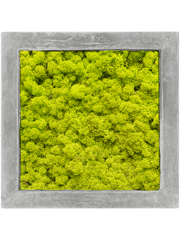 Tableau Polystone Raw Grey 100% Lichen (Vert printemps)