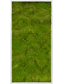 Tableau Aluminium 100% Mousse plate