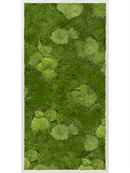 Tableau Aluminium 30% Mousse boule- et 70% Mousse plate