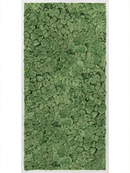 Tableau Aluminium 100% Lichen (Vert mousse)