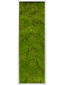 Tableau Aluminium 100% Mousse plate