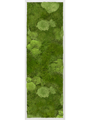 Tableau Aluminium 30% Mousse boule- et 70% Mousse plate