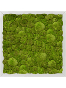 Tableau Aluminium 100% Mousse boule