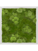 Tableau Aluminium 30% Mousse boule- et 70% Mousse plate