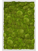 Tableau Aluminium 100% Mousse boule