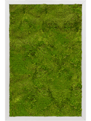 Tableau Aluminium 100% Mousse plate