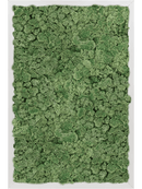 Tableau Aluminium 100% Lichen (Vert mousse)