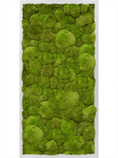 Tableau Aluminium 100% Mousse boule