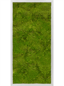 Tableau Aluminium 100% Mousse plate