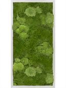 Tableau Aluminium 30% Mousse boule- et 70% Mousse plate