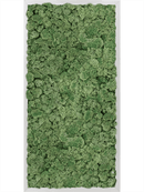 Tableau Aluminium 100% Lichen (Vert mousse)